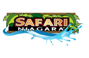 Safari Niagara